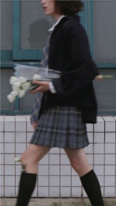 斯慕圈dom